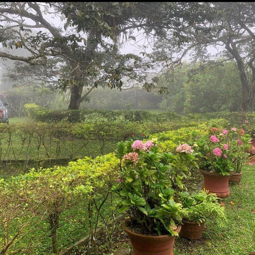 Sitio Sao Gerardo - Aconchegante Casa No Campo. Villa Guaramiranga Ngoại thất bức ảnh